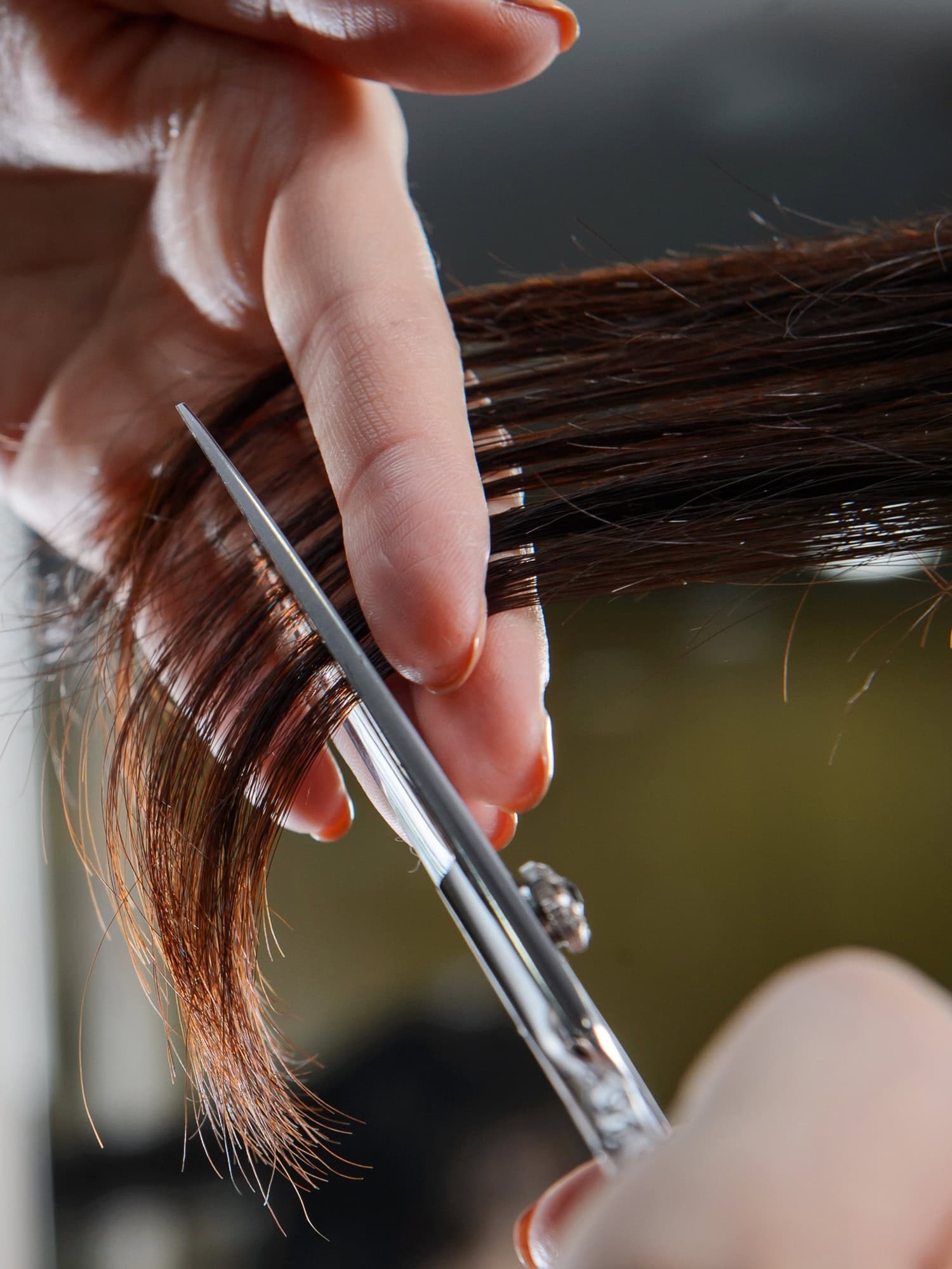 xquisite image hair health and beauty salon in auckland 22