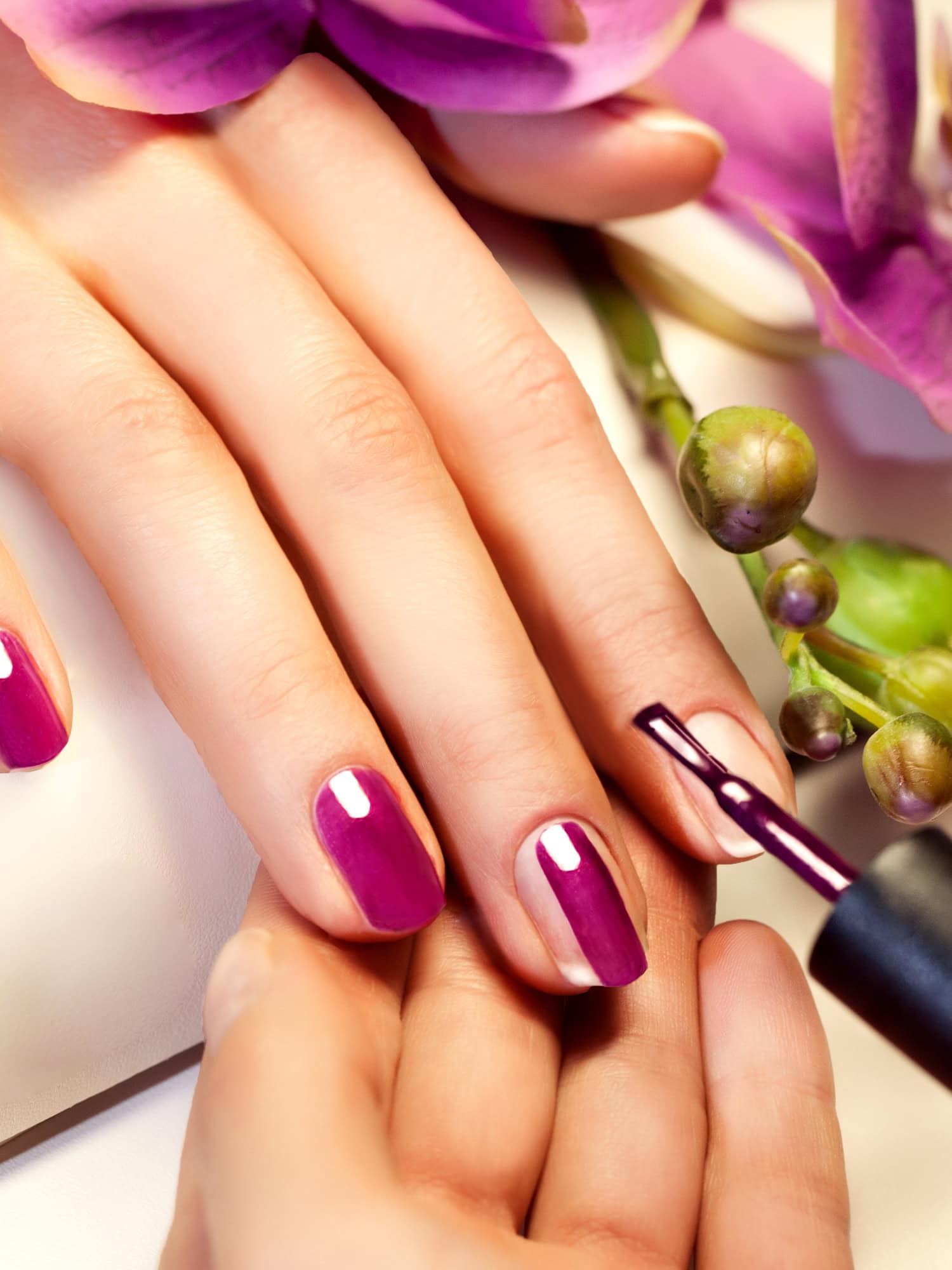 xquisite image hair health and beauty salon in auckland 47